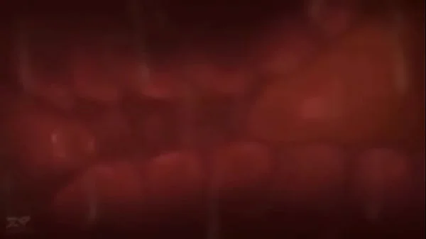 Pokemon porn
