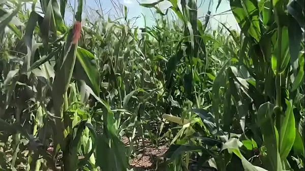 Riley Jacobs playing in corn field